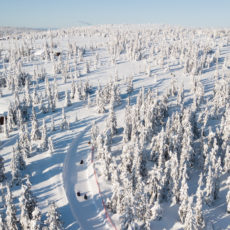Budor – vinteren 2020