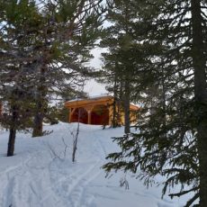 Turforslag: Steinars plass på ski